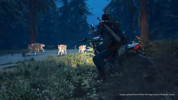 Days Gone Avril 2019 - 2