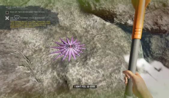 Etoile de mer - Stranded Deep