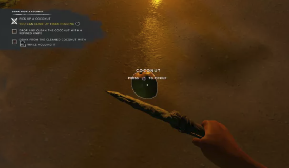 Noix de coco - Stranded Deep