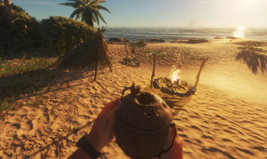 Prenez garde à l'exploration - Stranded Deep