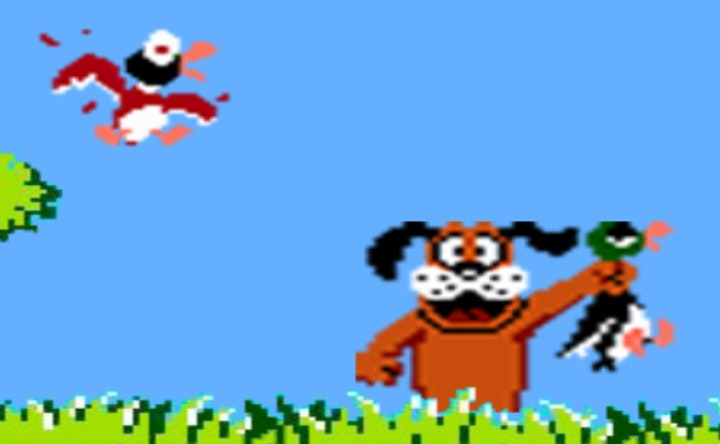 duck hunt