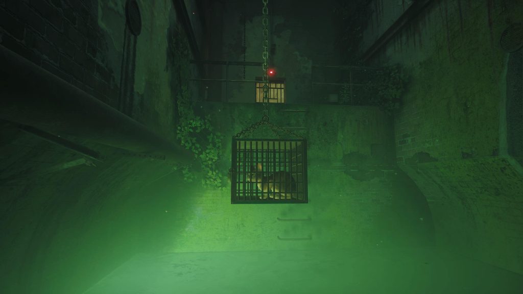 stray 20220822220010 min