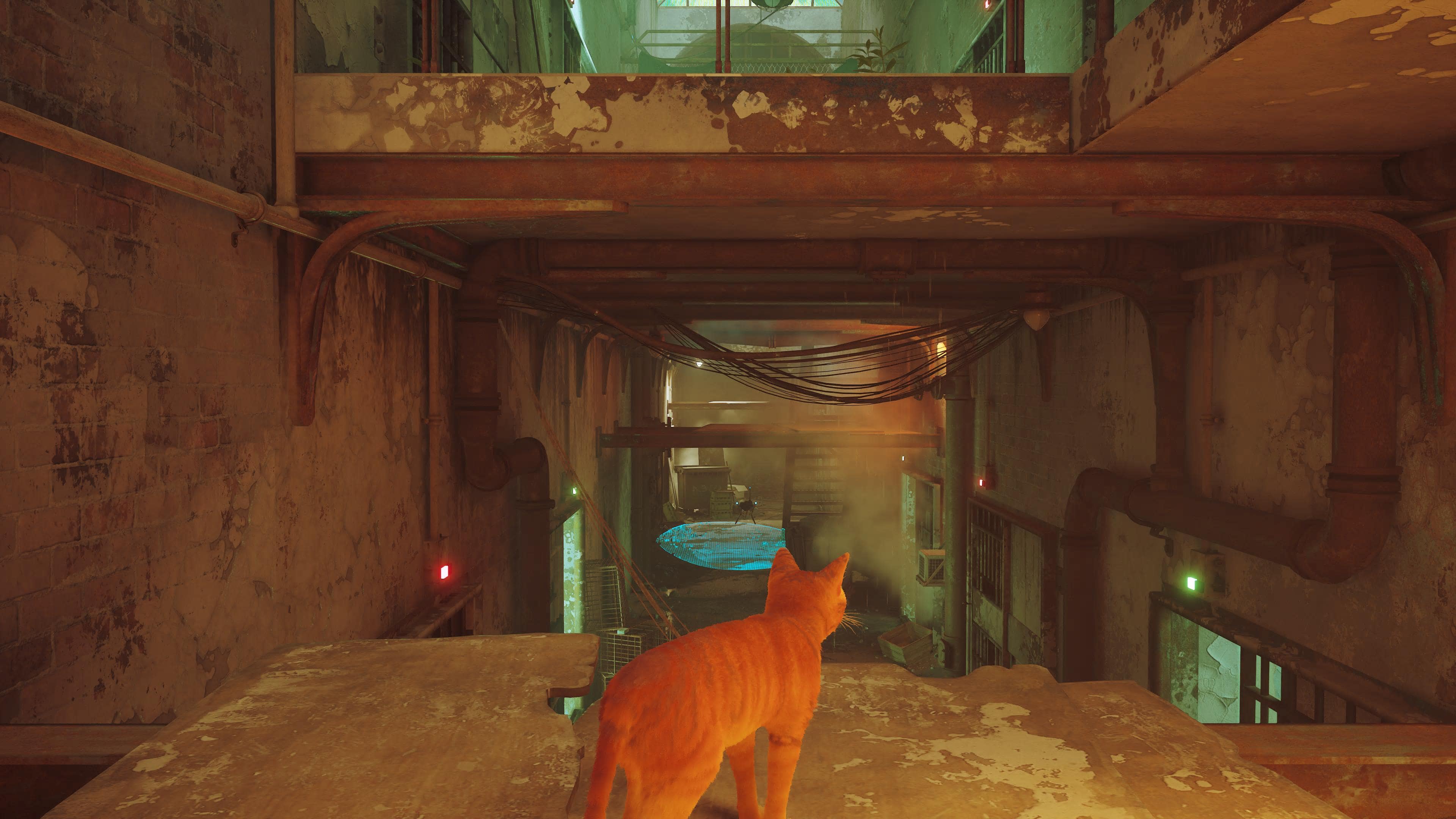 stray 20220822220240 min