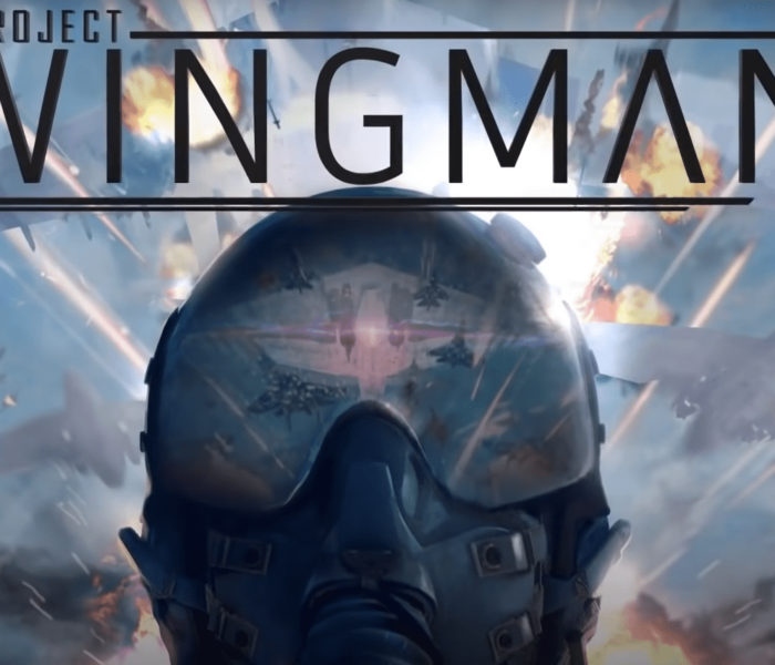 project-wingman-vr